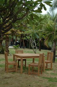 SET-101B  DINING TABLE SET