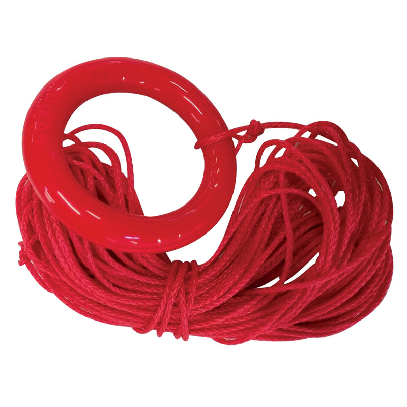 20693  Mooring Ring with 30m rope