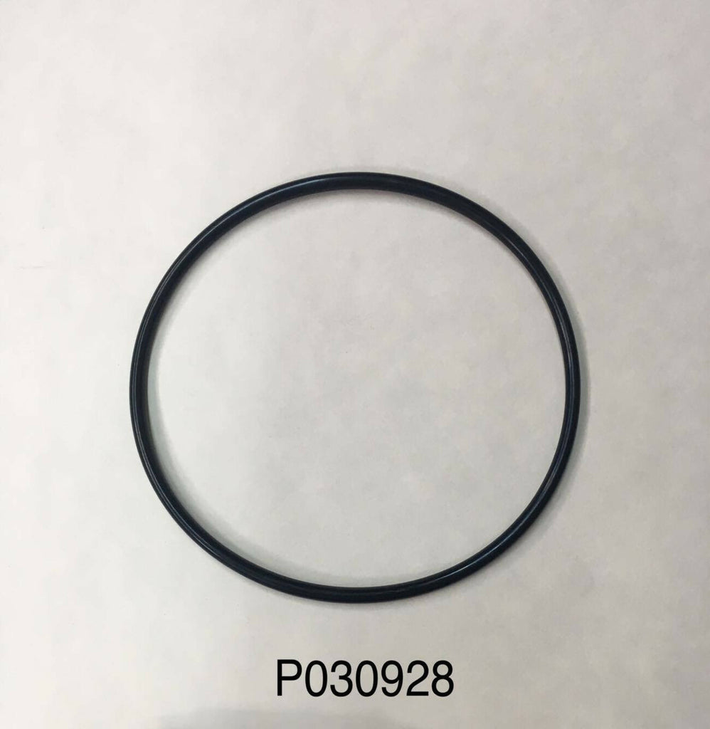 030928 Phoenix BOP Cylinder O-Ring