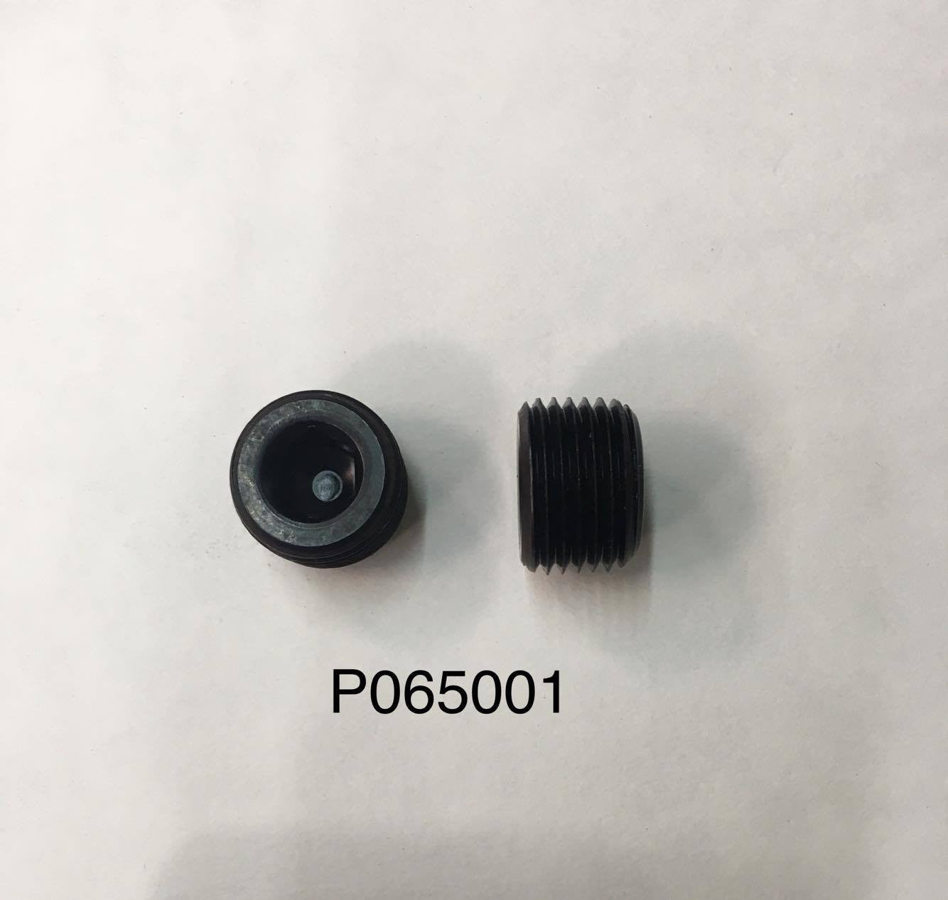 065001 Phoenix BOP 1/2" Plug