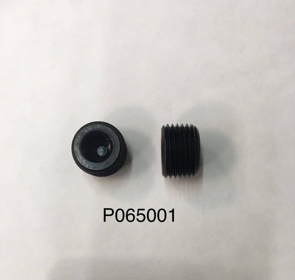 065001 Phoenix BOP 1/2" Plug